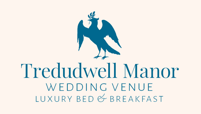 Tredudwell Manor Wedding Confetti